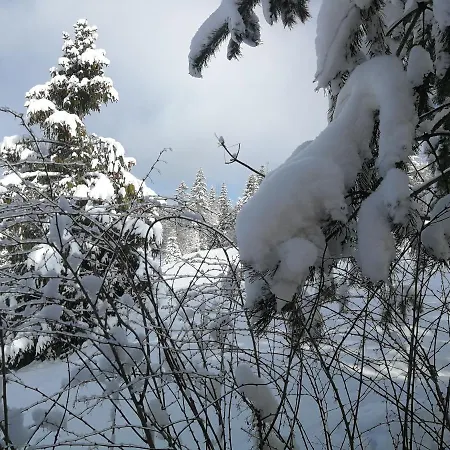 Appartement 2chalupy - W