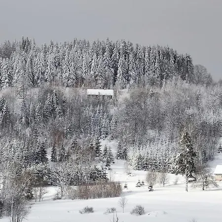 2chałupy - W