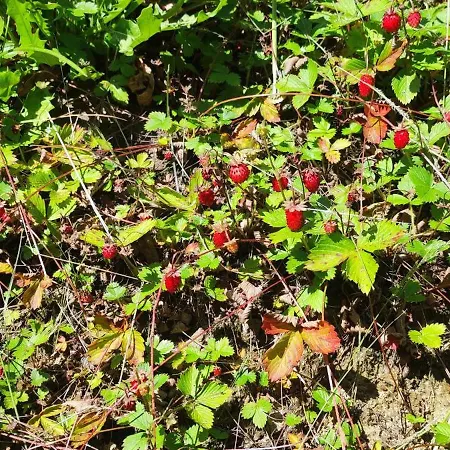 Appartement 2chalupy - W Sól