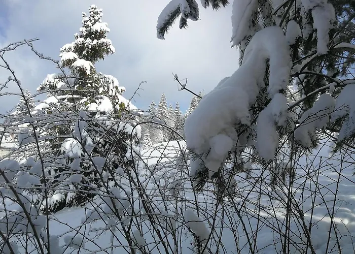 דירה 2chalupy - W