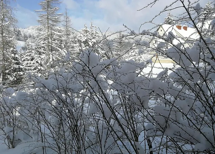 דירה 2chalupy - W *