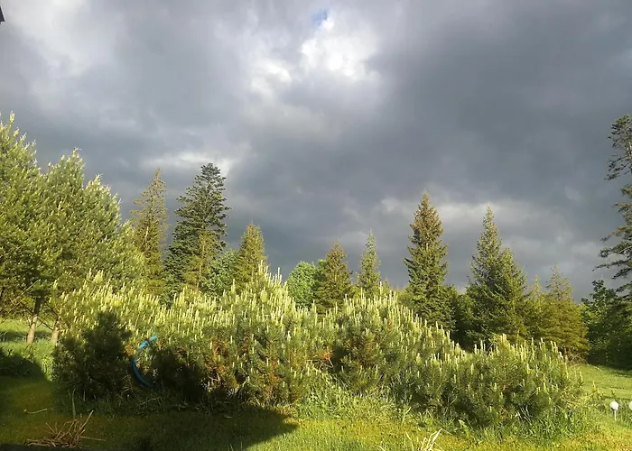 2chalupy - W דירה