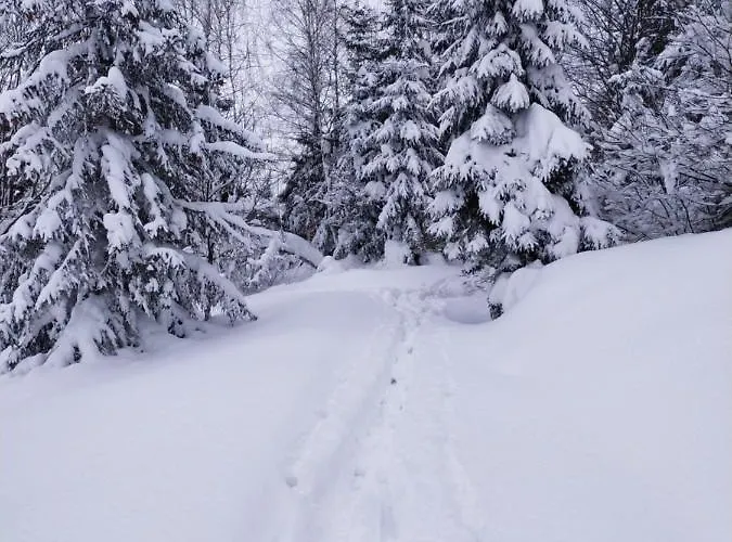 דירה 2chalupy - W *